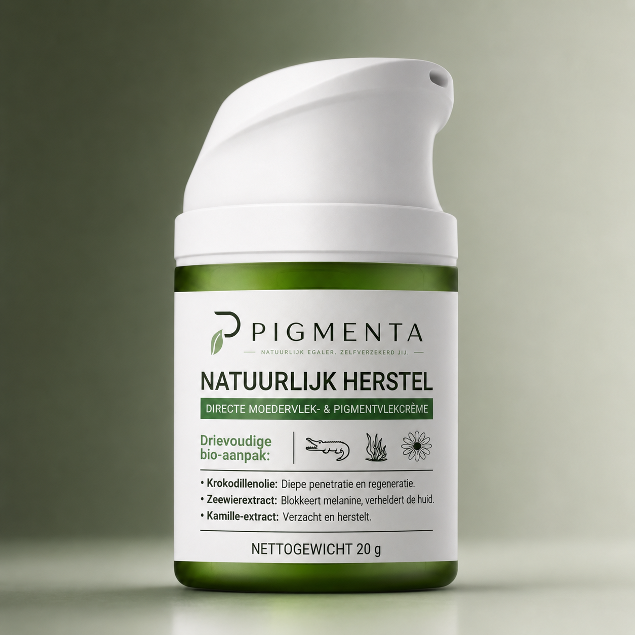 PIGMENTA™