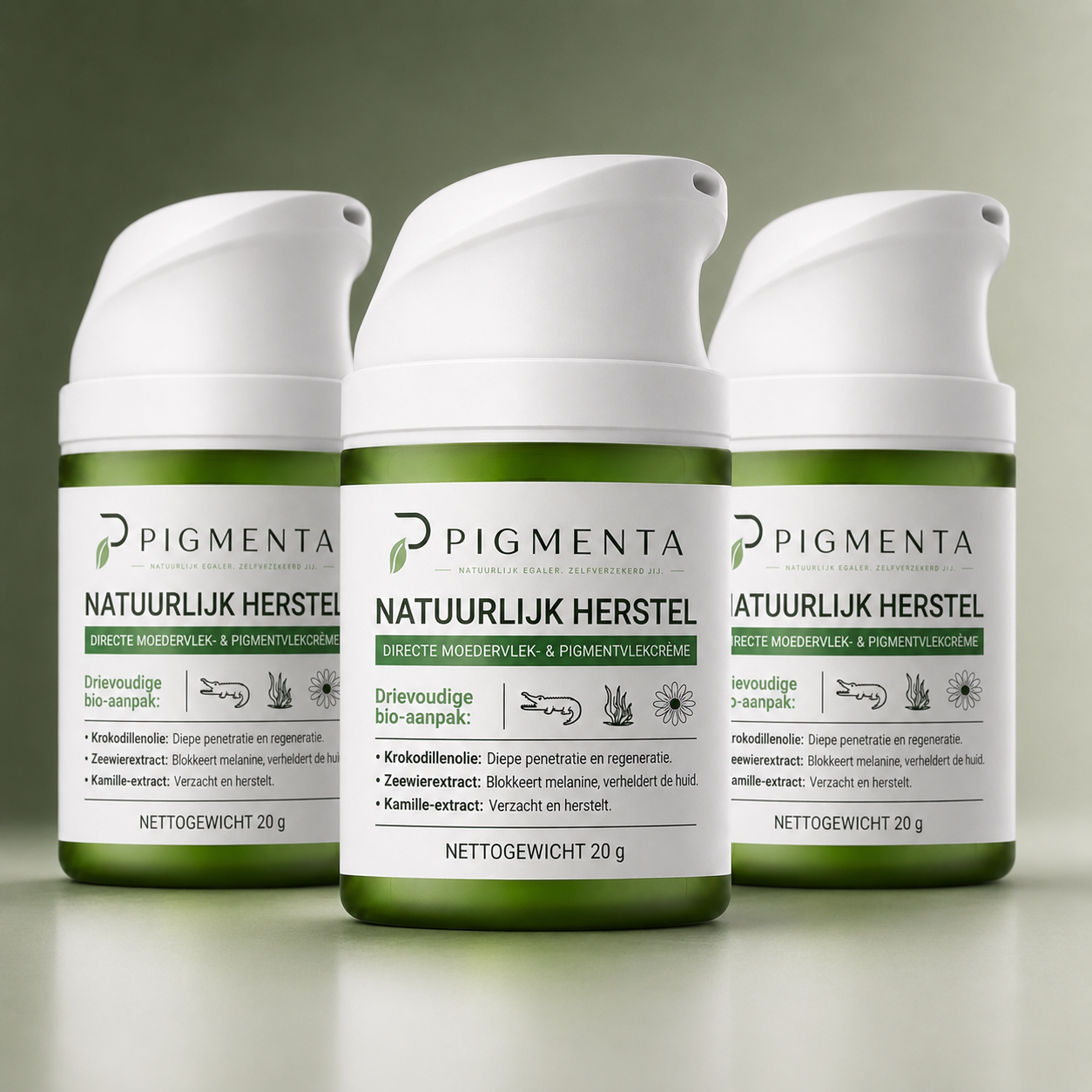 PIGMENTA™