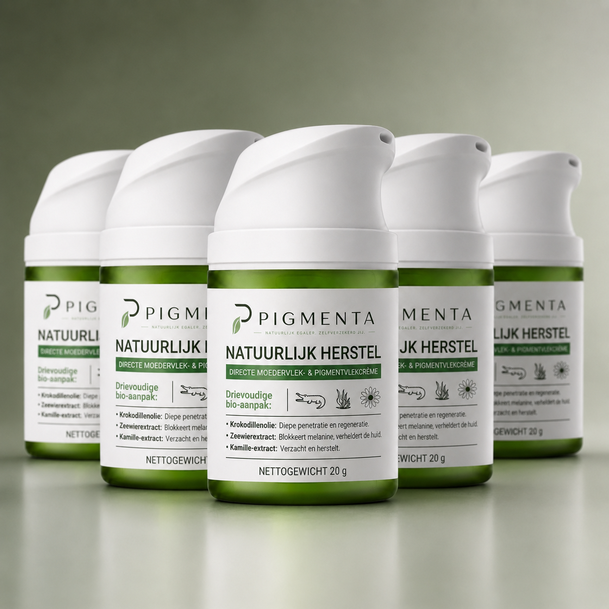 PIGMENTA™